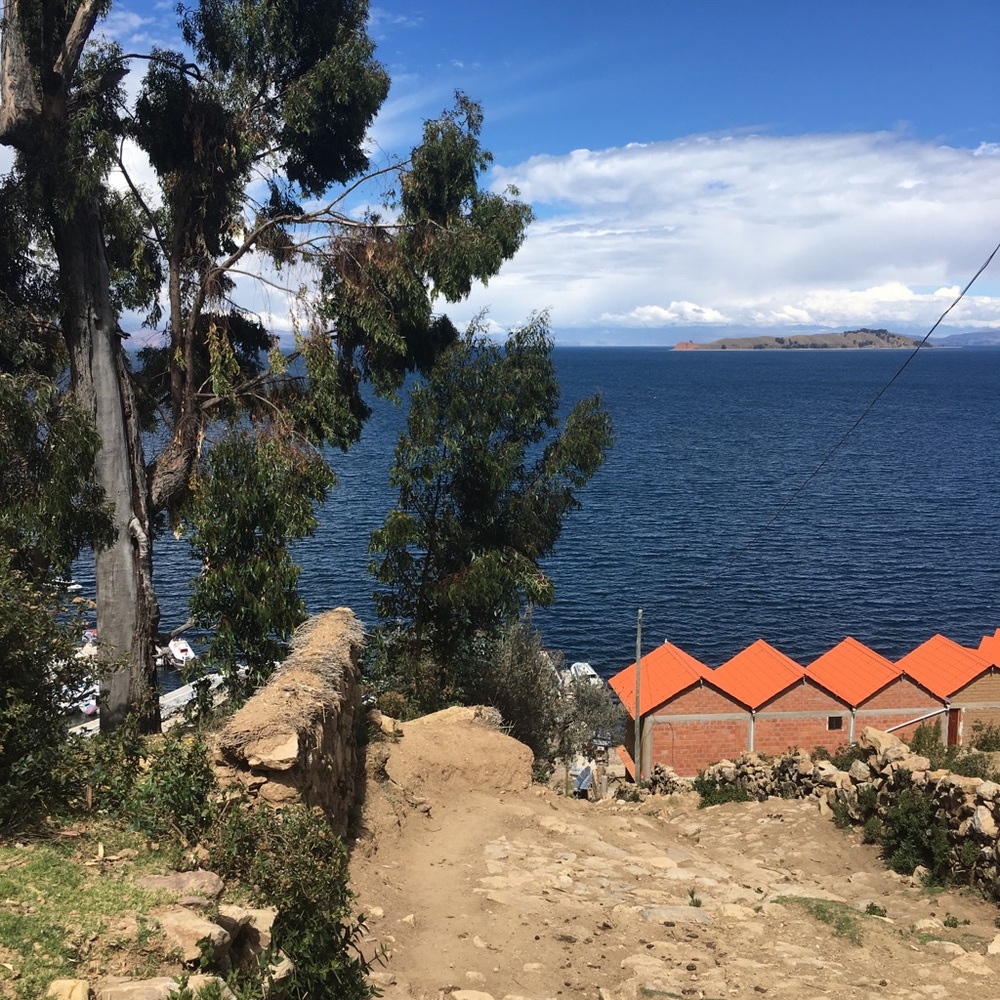 Meet your Posher, Alison